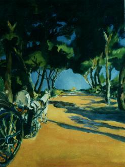 Spanische All�e (40)